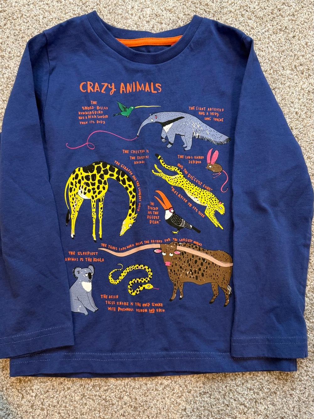 Kids Navy "Crazy Animals" Graphic Long Sleeve Shirt mini boden 4/5
